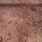 Product Image 2 for Delia Small Rustic Terracotta Vase from Zentique