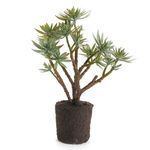 Product Image 1 for Jewel Faux Succulent Drop-In, 19" from Napa Home And Garden