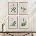 Product Image 4 for Vintage Botanical Study, Set Of 4 from Napa Home And Garden