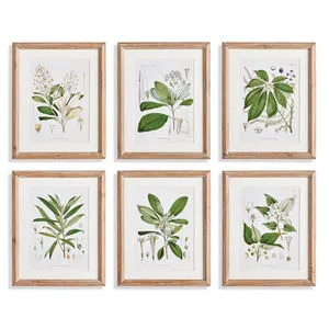 Product Image 1 for Classic Flower And Leaf Study, Set Of 6 from Napa Home And Garden