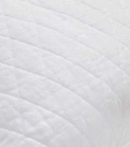 Product Image 1 for Lana 100% Cotton White Sham from Classic Home Furnishings