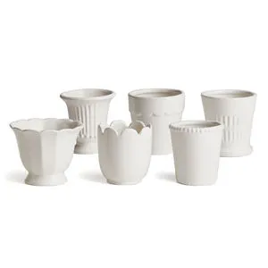 Product Image 1 for Mirabelle Mini Cachepots, Set Of 6 from Napa Home And Garden