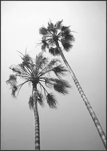 Product Image 1 for Seaside Palms III from Leftbank