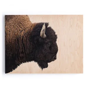 Product Image 3 for American Bison from Four Hands