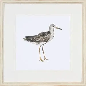 Product Image 1 for Birds of a Feather II from Shadow Catchers