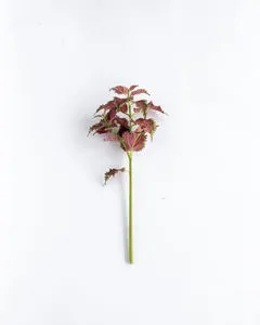 Product Image 6 for Gemma Coleus Stem - 22", Single from Napa Home And Garden