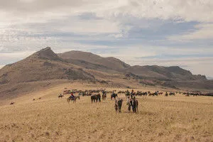 Product Image 1 for Heartbreak Hill Art from Simply Framed