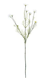 Product Image 2 for Cosmos Stems, Set of 3 from SN Warehouse