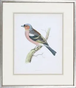 Product Image 1 for On the Lookout from Shadow Catchers