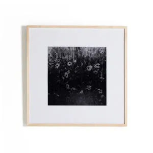 Product Image 1 for Floral Film II Framed Black and White Photograph by Annie Spratt from Four Hands