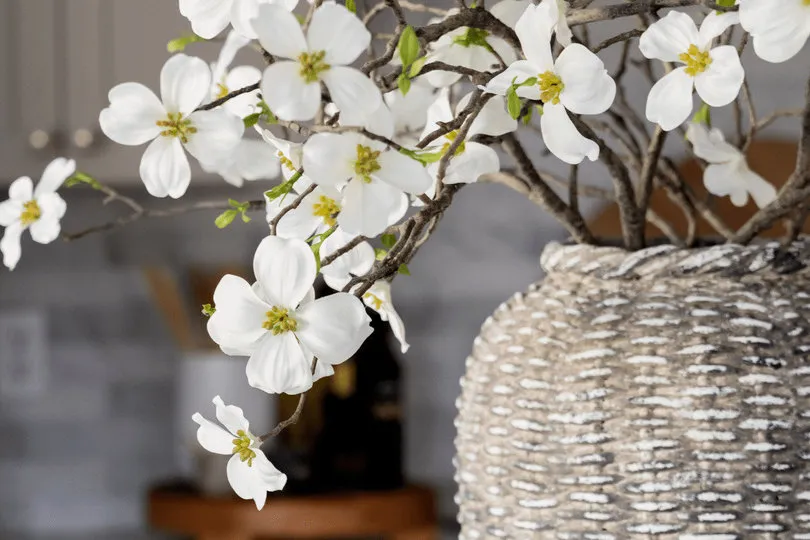 Shop curated vases, jars and vessels from Scout & Nimble