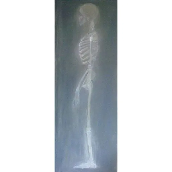 Product Image 1 for X Ray from Noir