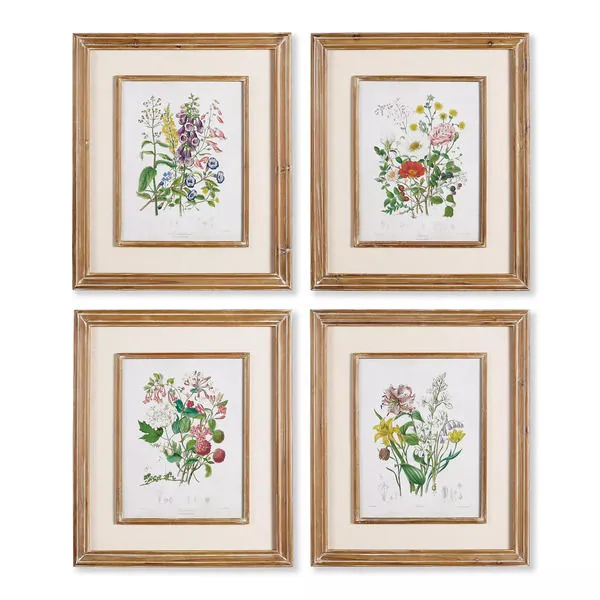 Product Image 1 for Garden Botanical Prints, Set Of 4 from Napa Home And Garden