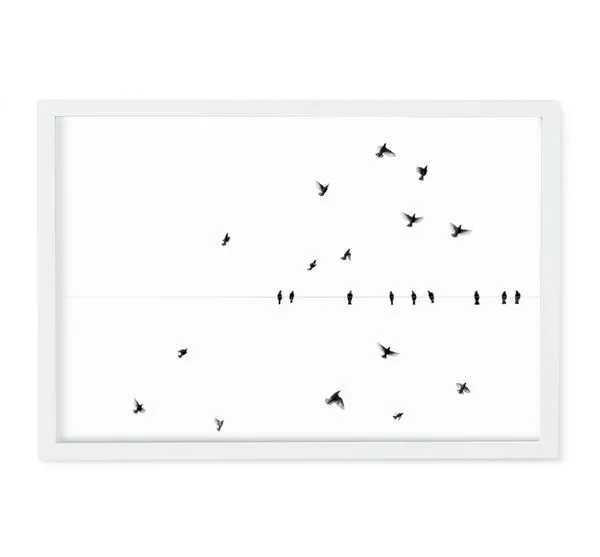 Product Image 1 for Fly By Art By Ryan Garvin from Ryan Garvin