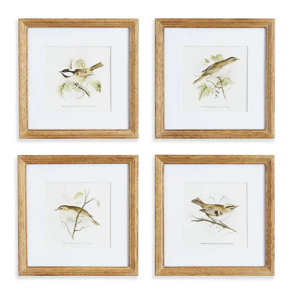 Product Image 1 for Perching Bird Study Petite, Set Of 4 from Napa Home And Garden