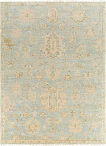 Product Image 1 for Antalya Hand-Knotted Wool Sage / Light Blue Rug - 9' x 12' from Surya