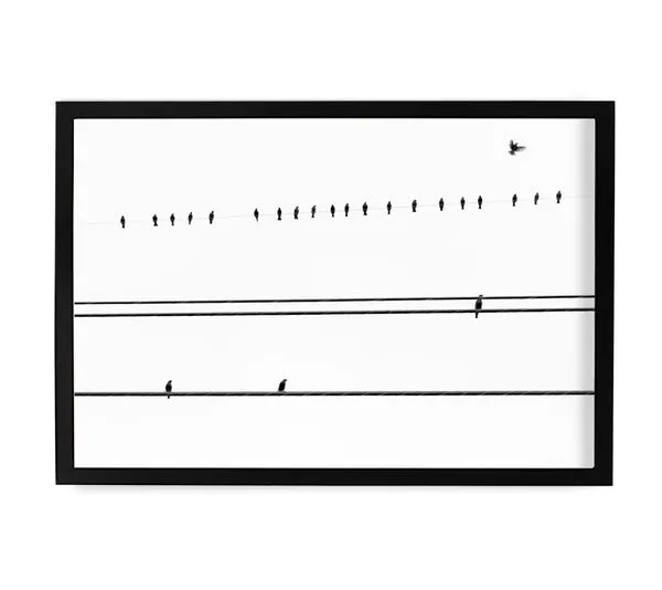 Product Image 1 for Early Takeoff Art By Ryan Garvin from Ryan Garvin