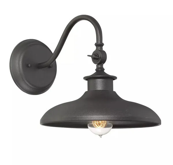 Product Image 1 for Raliegh 11" Wall Lantern from Savoy House