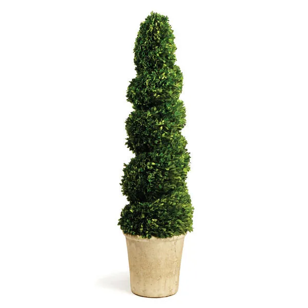 Product Image 1 for Boxwood Spiral Topiary 52.5" from Napa Home And Garden