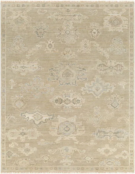 Product Image 1 for Antalya Hand-Knotted Wool Light Brown / Sage Rug - 6' x 9' from Surya