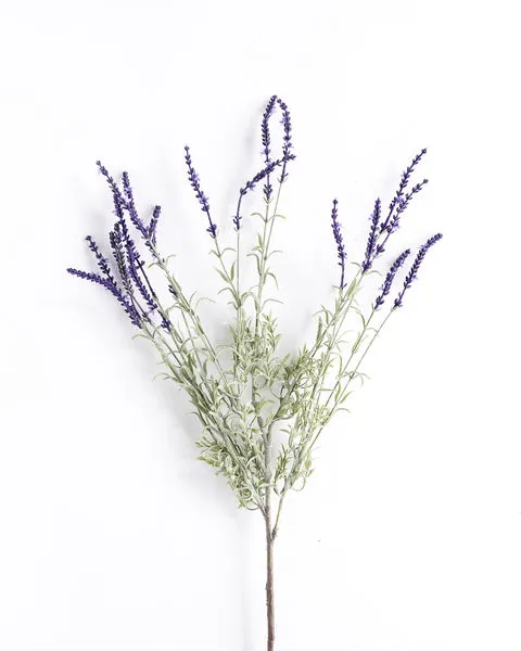 Product Image 4 for Colette French Lavender Bush - 34", Single Stem from Napa Home And Garden