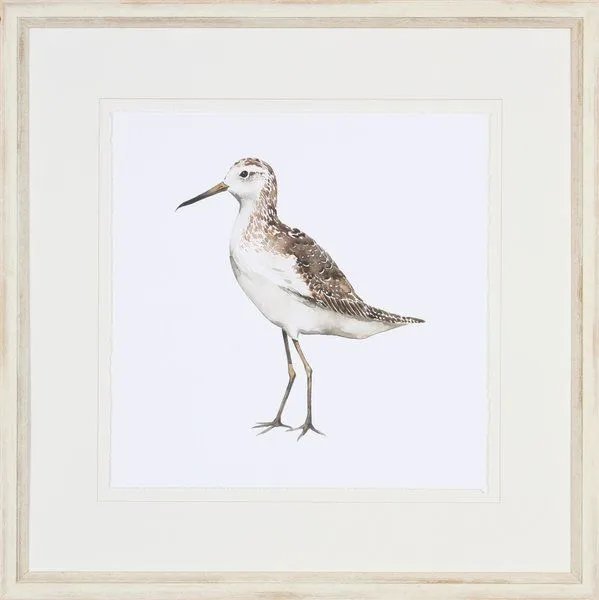 Product Image 1 for Birds of a Feather I from Shadow Catchers