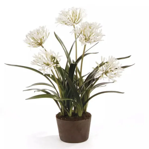 Product Image 1 for Agapanthus Drop-In from Napa Home And Garden