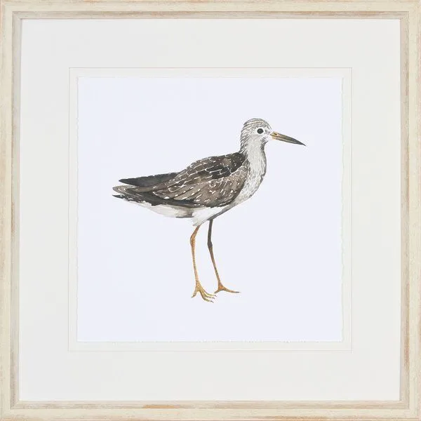 Product Image 1 for Birds of a Feather II from Shadow Catchers