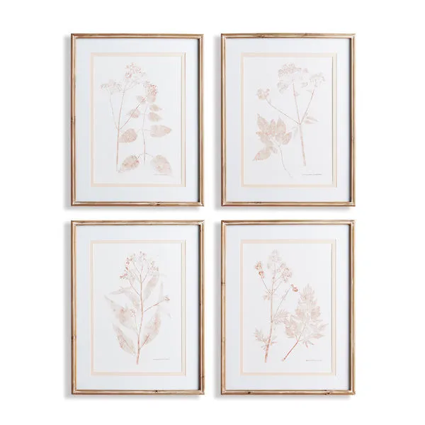 Product Image 1 for Blush Botanical Study Wall Art Framed Prints, Set of 4 from Napa Home And Garden