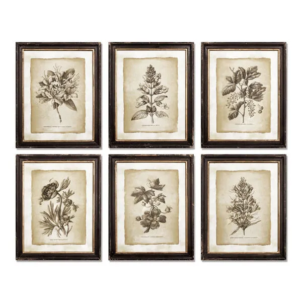 Product Image 1 for Framed Vintage Floral Prints, Set Of 6 from Napa Home And Garden