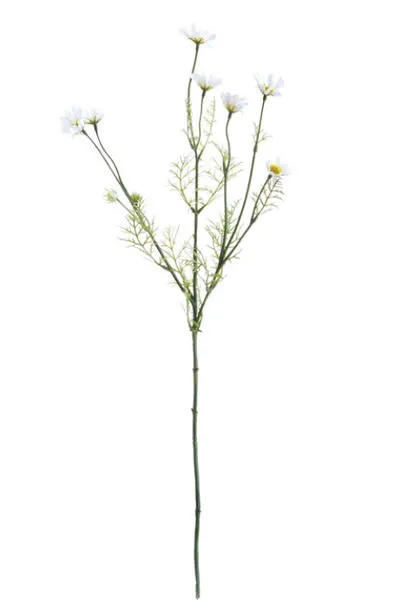 Product Image 2 for Cosmos Stems, Set of 3 from SN Warehouse