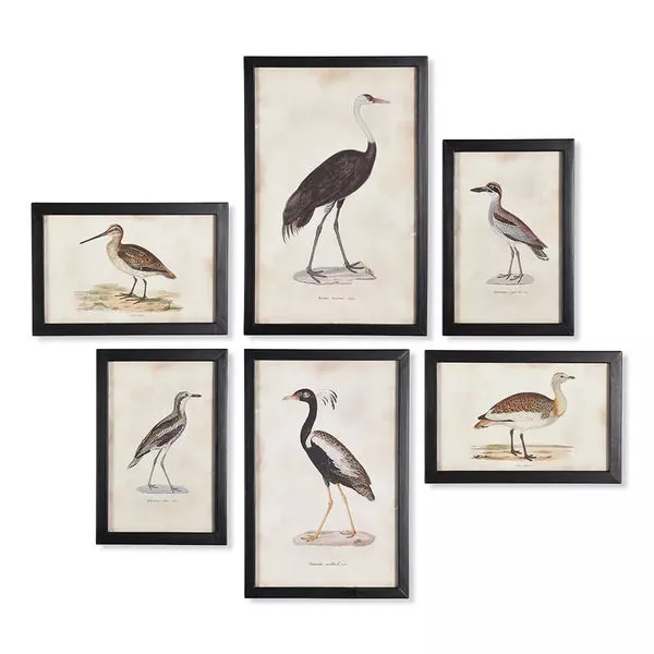 Product Image 1 for Waterfowl Gallery, Set Of 6 from Napa Home And Garden