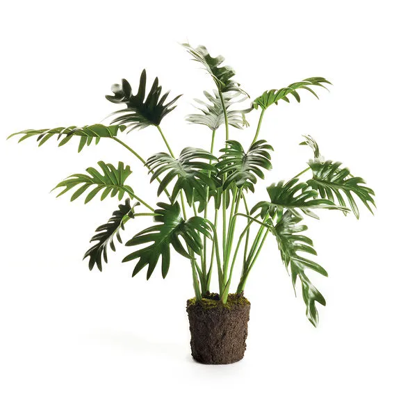 Product Image 2 for Faux Split Leaf Selloum Drop-In, 22.5" from Napa Home And Garden