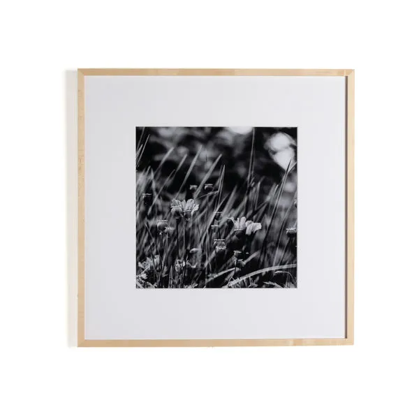 Product Image 1 for Floral Film I Framed Black and White Photograph by Annie Spratt from Four Hands
