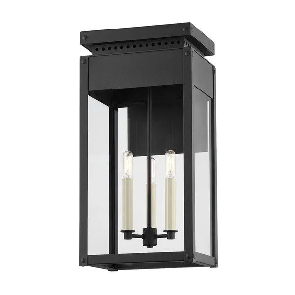 Product Image 1 for Braydan Textured Black 3-Light Exterior Wall Sconce from Troy Lighting