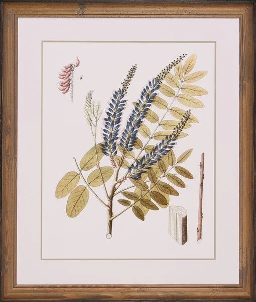 Product Image 1 for Leaves Of Lace II from Shadow Catchers