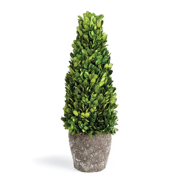 Product Image 1 for Boxwood Cone Topiary Drop-in from Napa Home And Garden