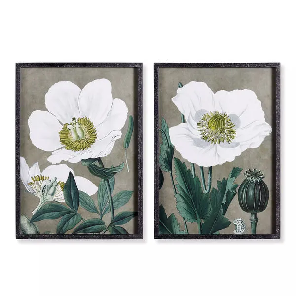 Product Image 2 for Poppy Prints, Set Of 2 from Napa Home And Garden