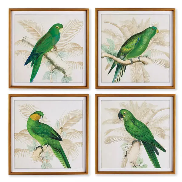 Product Image 1 for Green Parrots Study, Set Of 4 from Napa Home And Garden