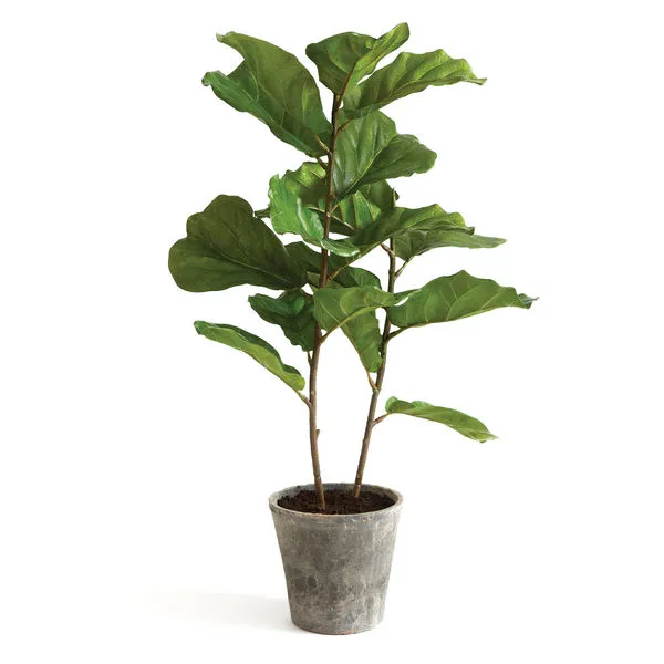 Product Image 2 for Faux Fiddle Leaf Potted Fig, 43" from Napa Home And Garden