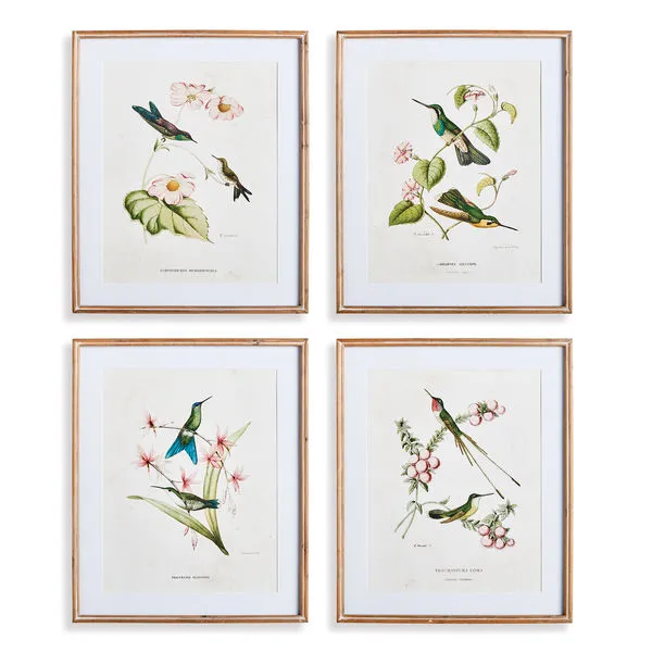 Product Image 1 for Hummingbirds With Blush Blooms, Set Of 4 from Napa Home And Garden
