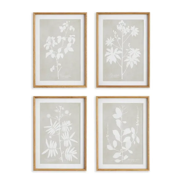 Product Image 1 for Foliage Study, Set Of 4 from Napa Home And Garden
