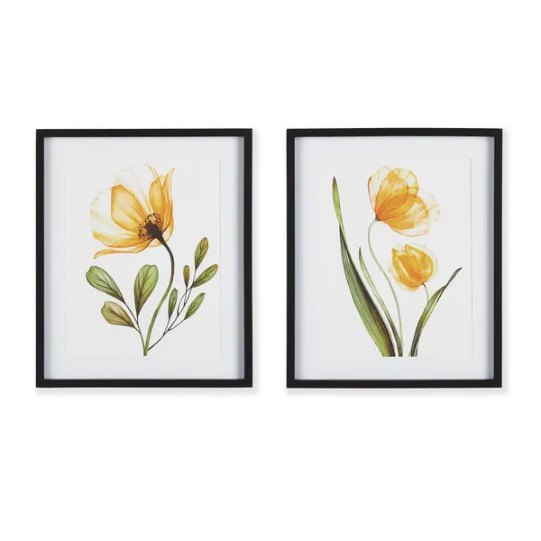 Product Image 1 for X-ray Botanical Prints, Set Of 2 from Napa Home And Garden