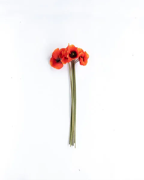 Product Image 1 for Ida Poppies - 27", Bundle of 6 from Napa Home And Garden