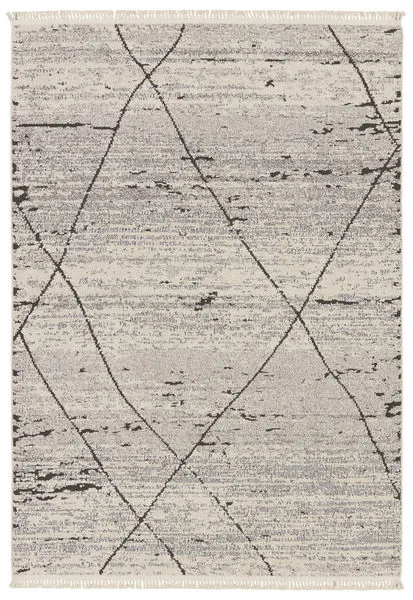 Product Image 1 for Imani Moroccan Trellis Gray/ White Rug - 6'7" x 9'6" from Jaipur