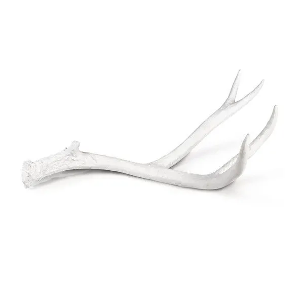 Product Image 5 for Antler Objet Large from Regina Andrew Design